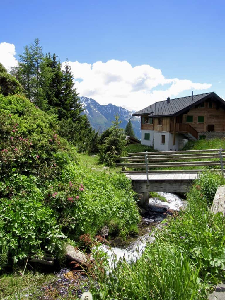 Bettmeralp view