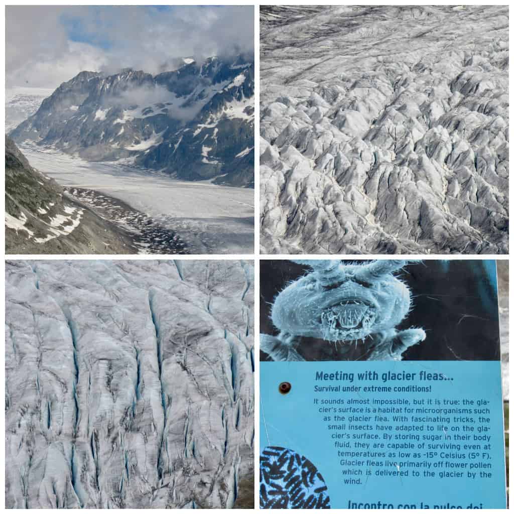 Glacier collage