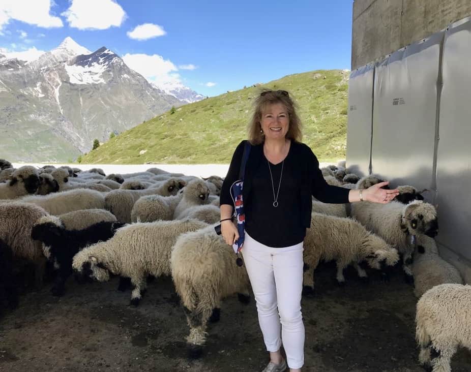 Christina's Cucina with Black Nose Valais Sheep