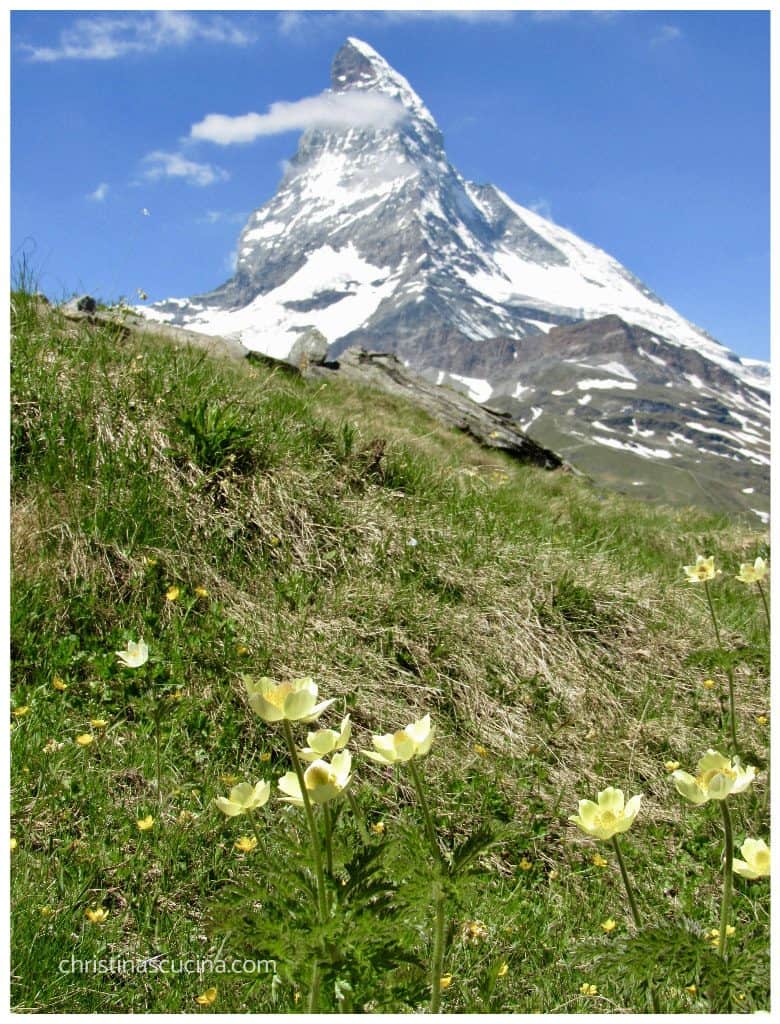 visit Zermatt anytime to see the Matterhorn and wildflowers