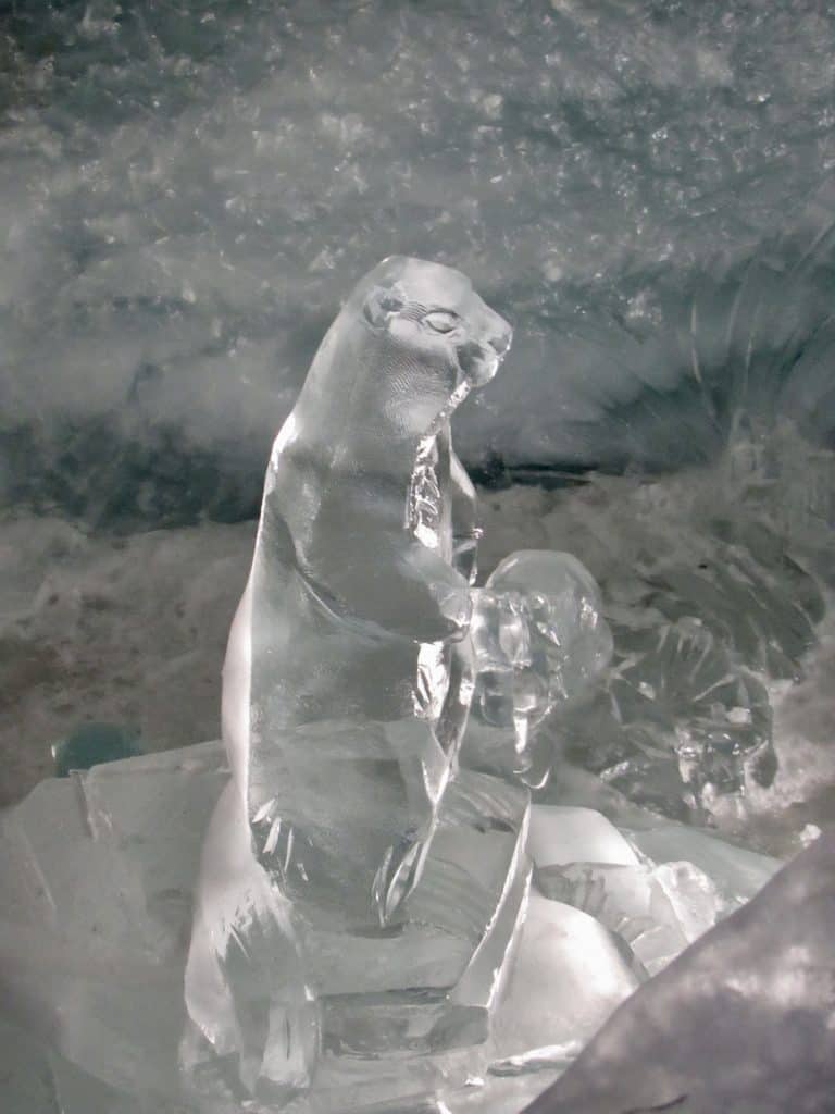 Ice sculpture GLacier Paradise