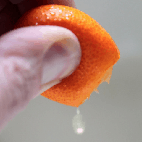 How to eat a kumquat
