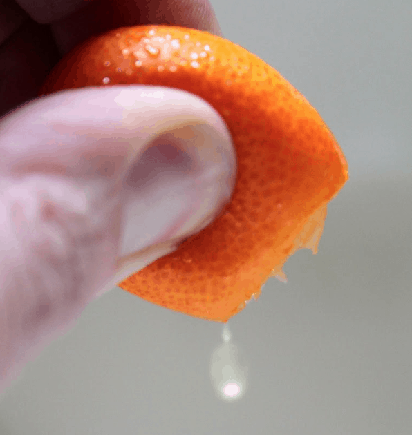 How to eat a kumquat
