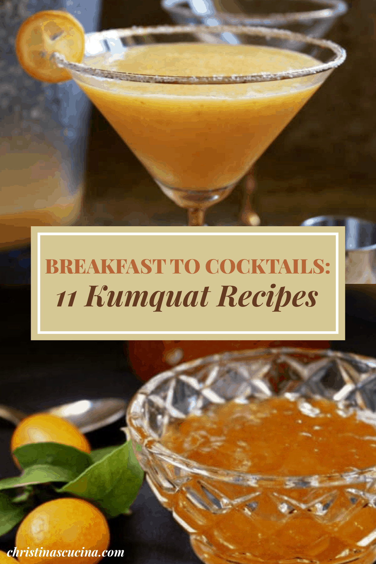 kumquat recipes pin