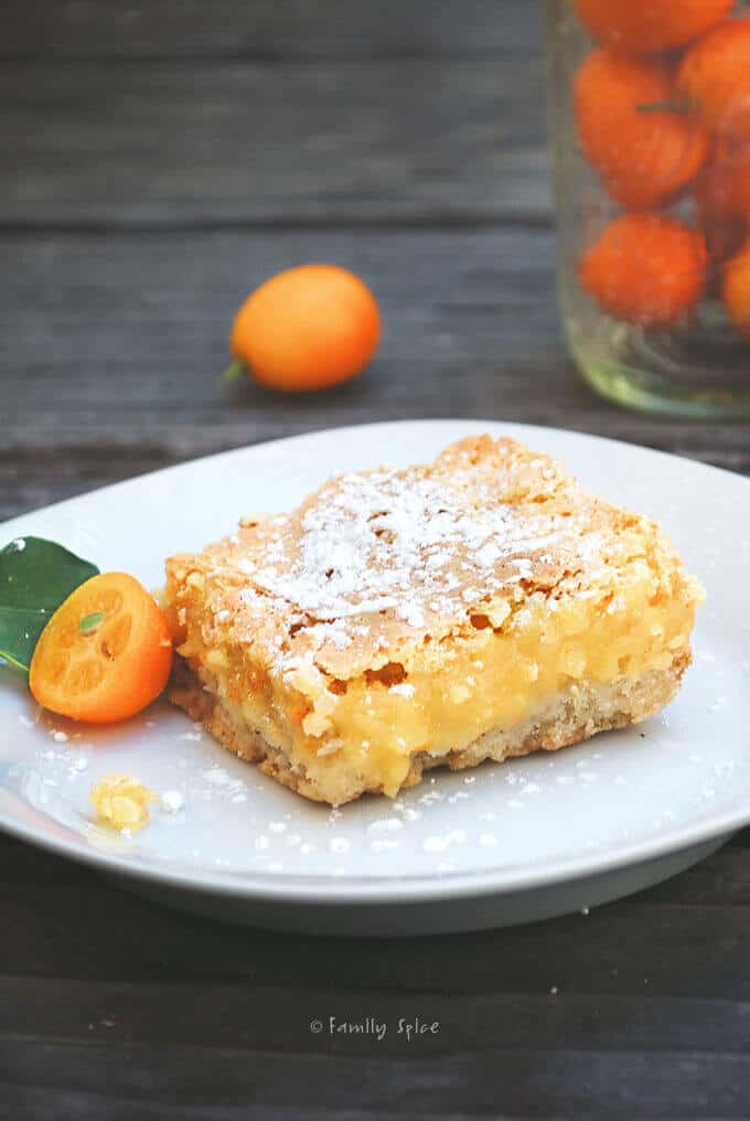 Kumquat Bars from Family SPice