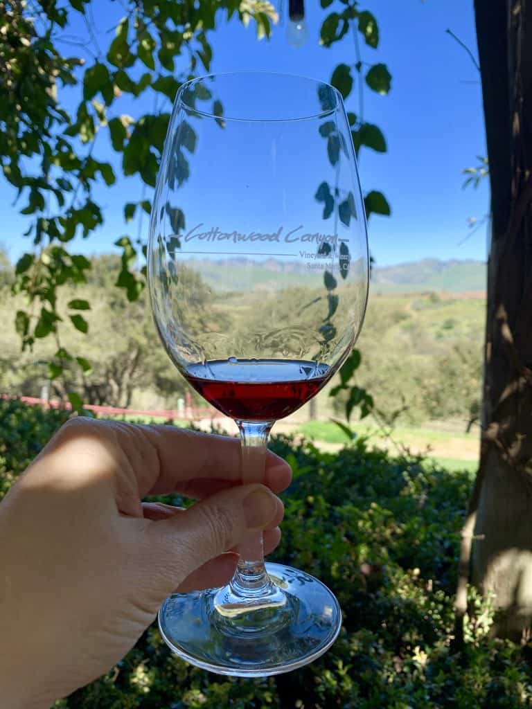 Wine tasting in Santa Maria