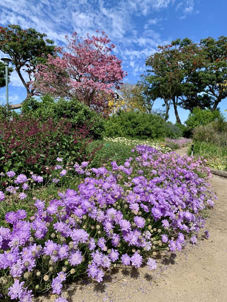 South Coast Botanic Garden