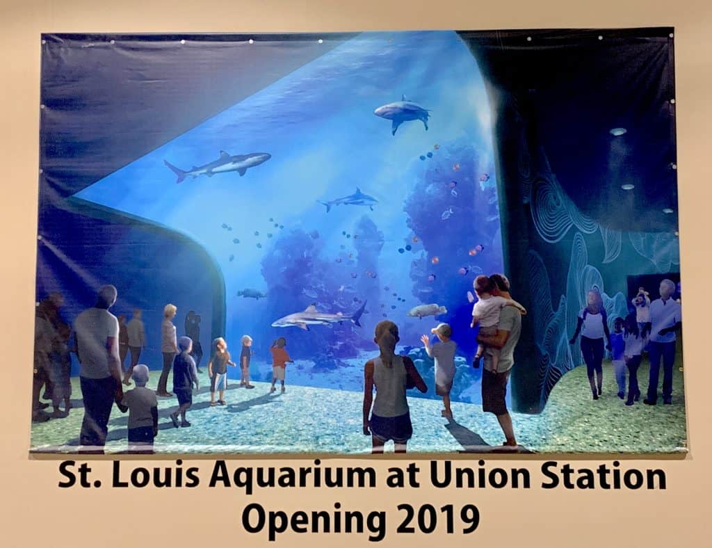 St Louis Aquarium