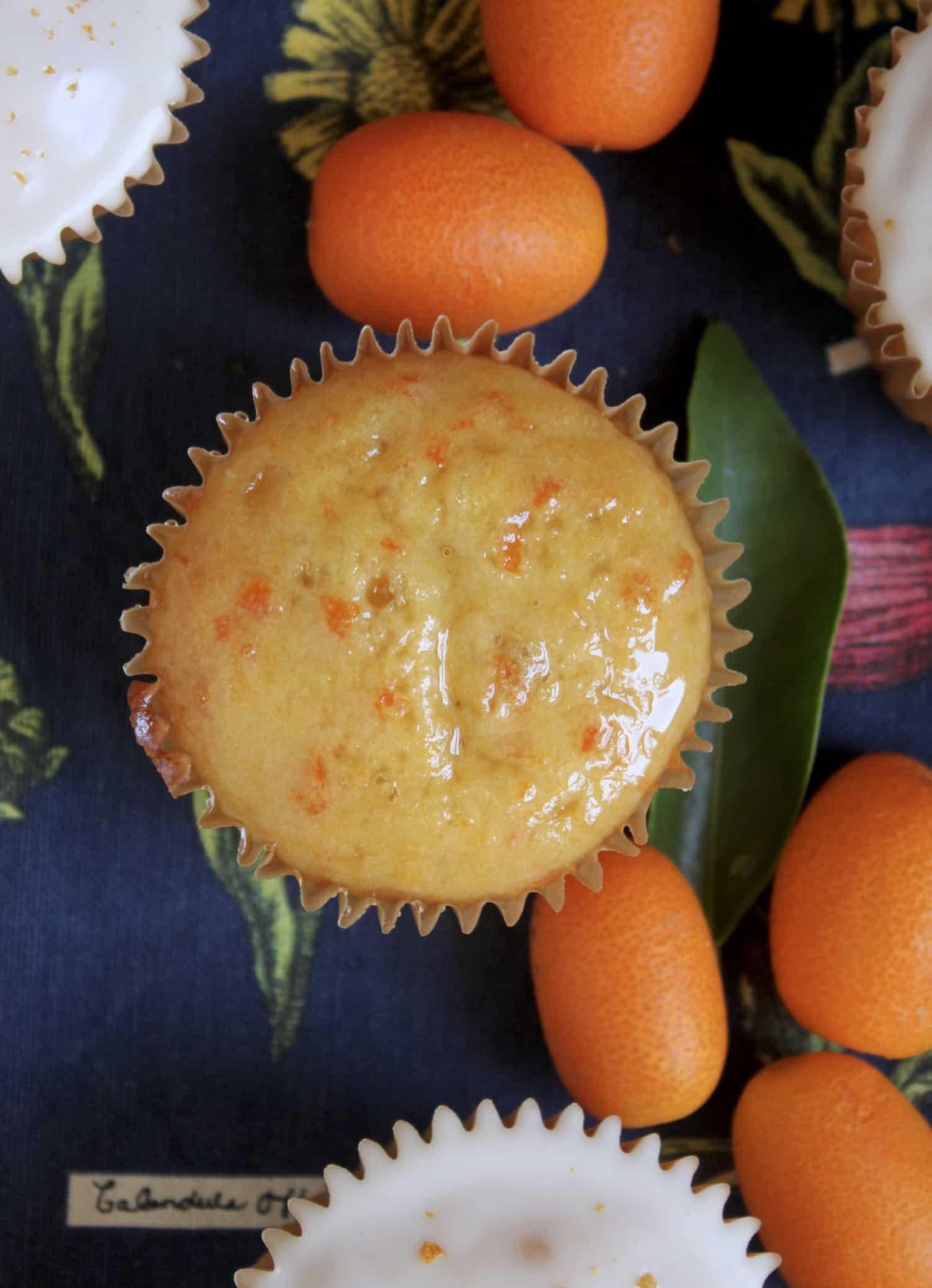 kumquat cupcakes, overhead