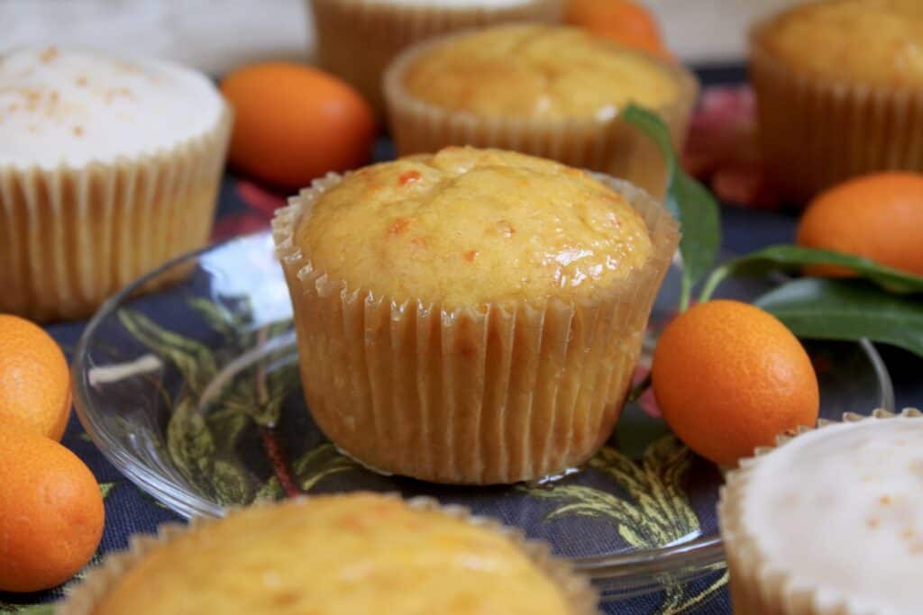 kumquat cupcakes