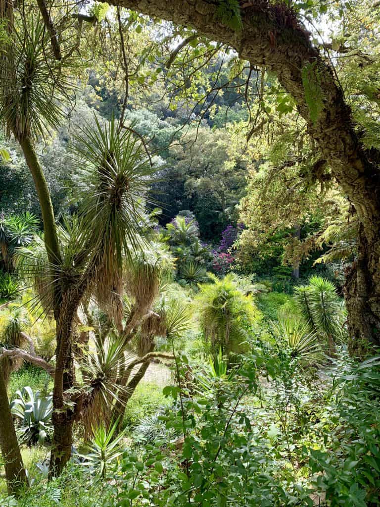 Park de Montserrate