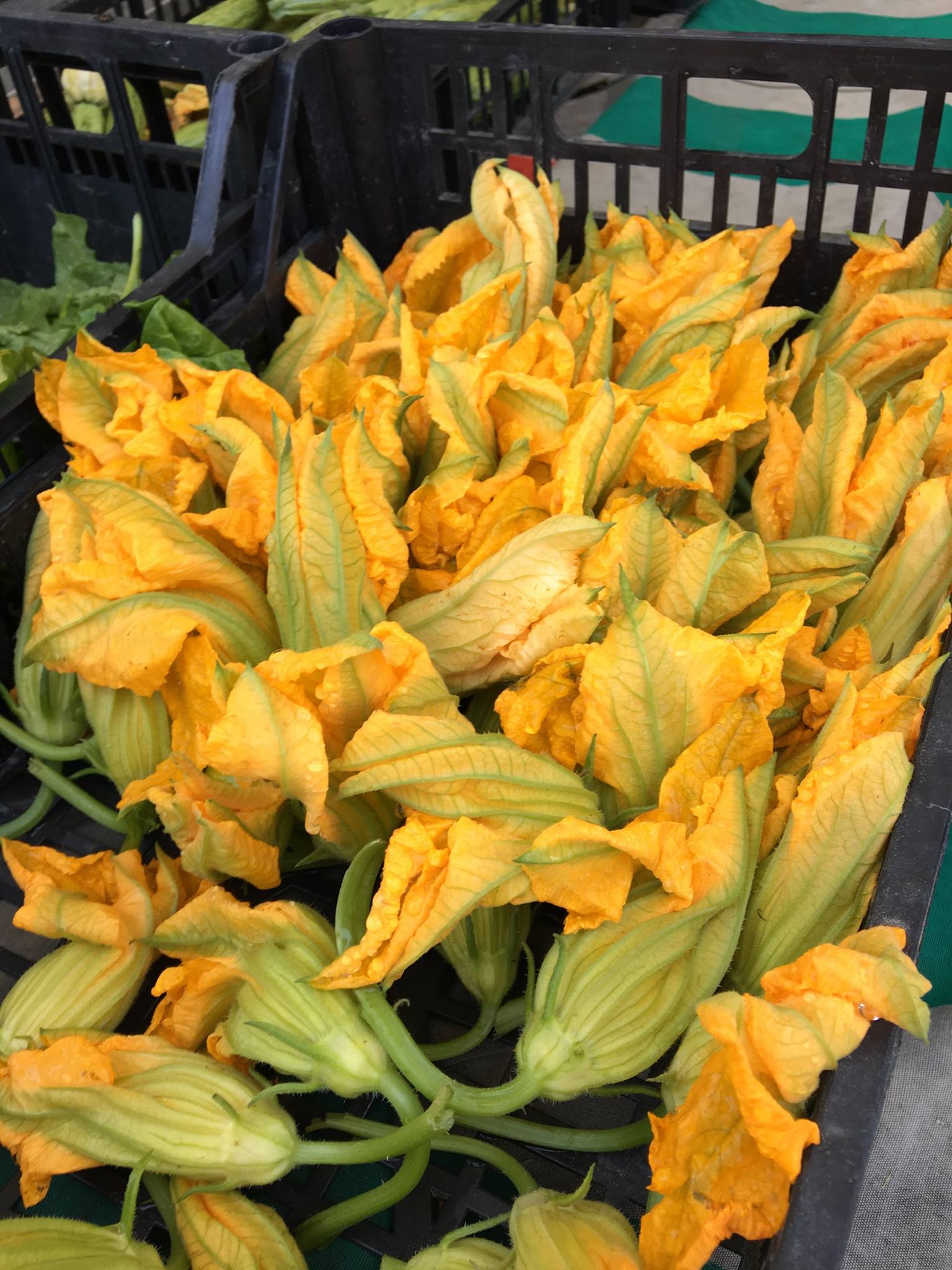 zucchini flowers at a market in Italy