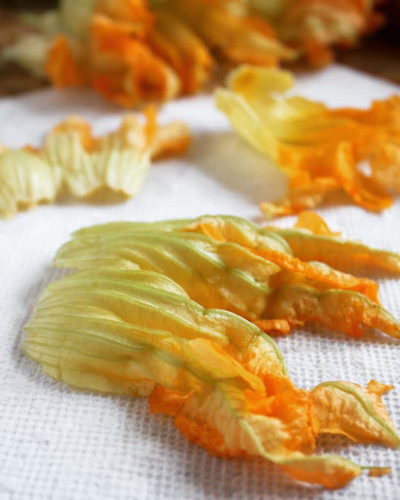 squash blooms on paper towel