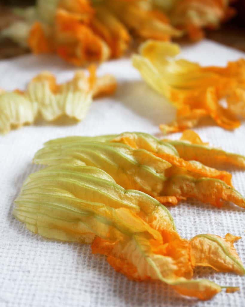 squash blooms on paper towel