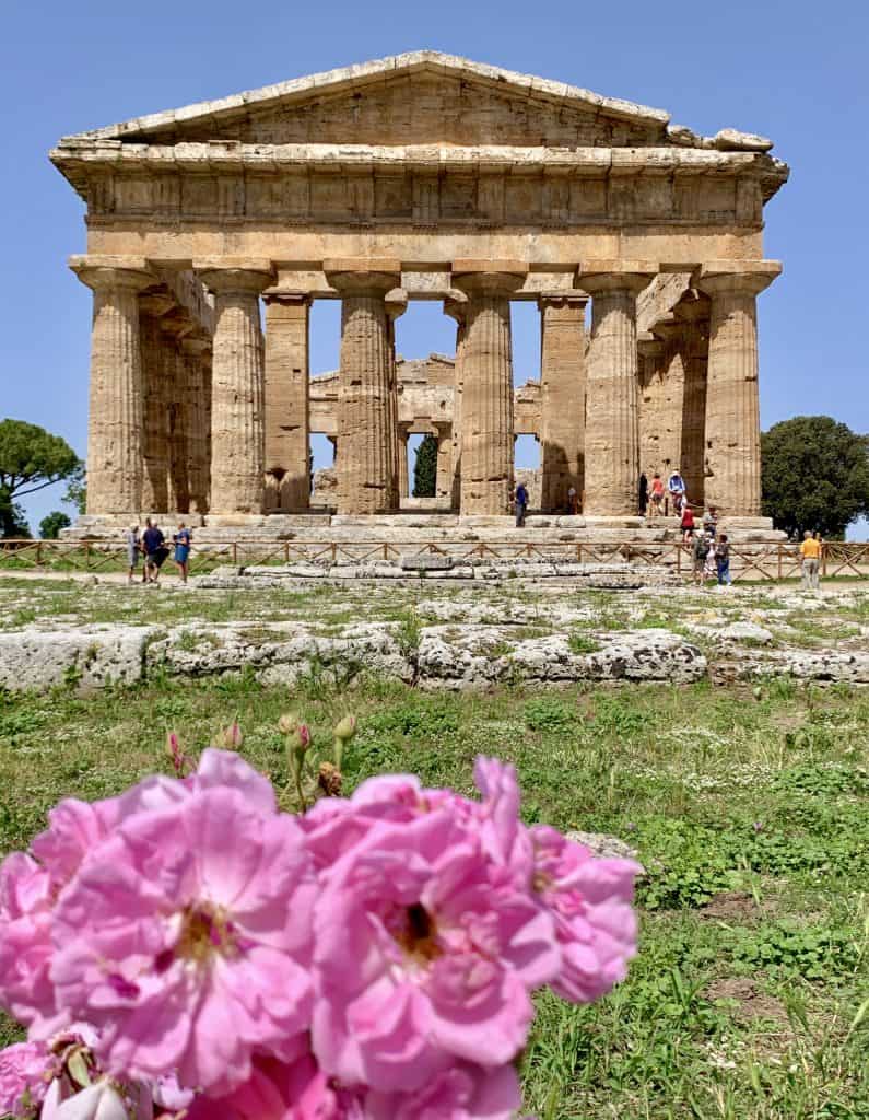 Roses and temple in Paestum (Is Paestum worth visiting)