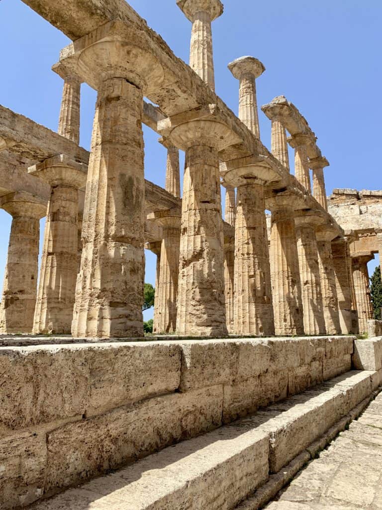 columns of a paestum temple 