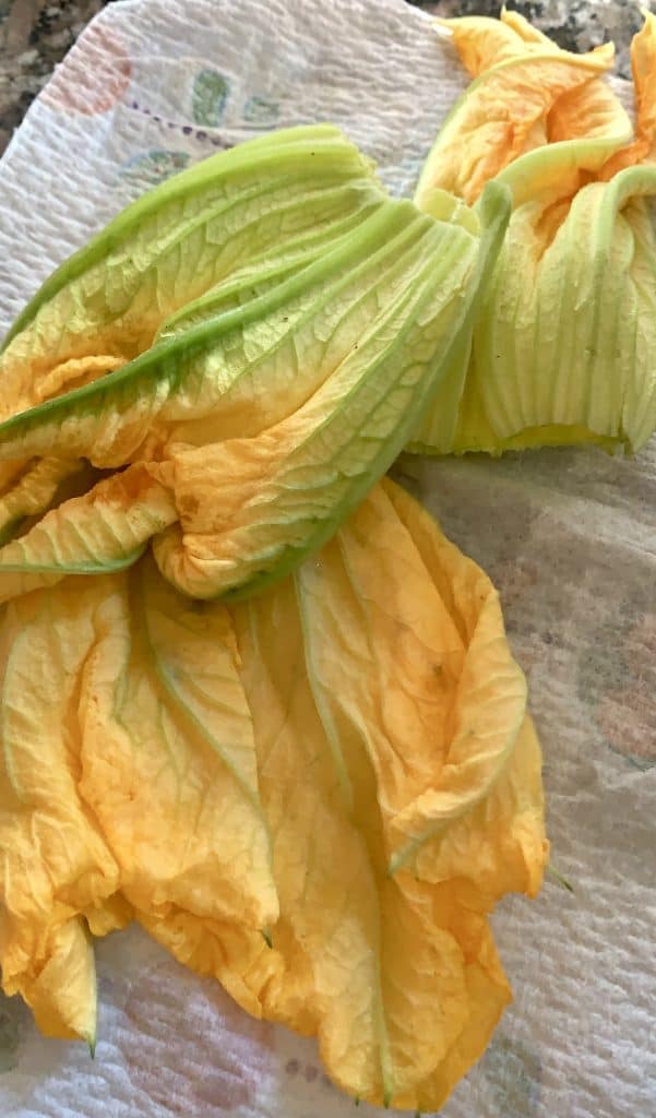 zucchini blossoms