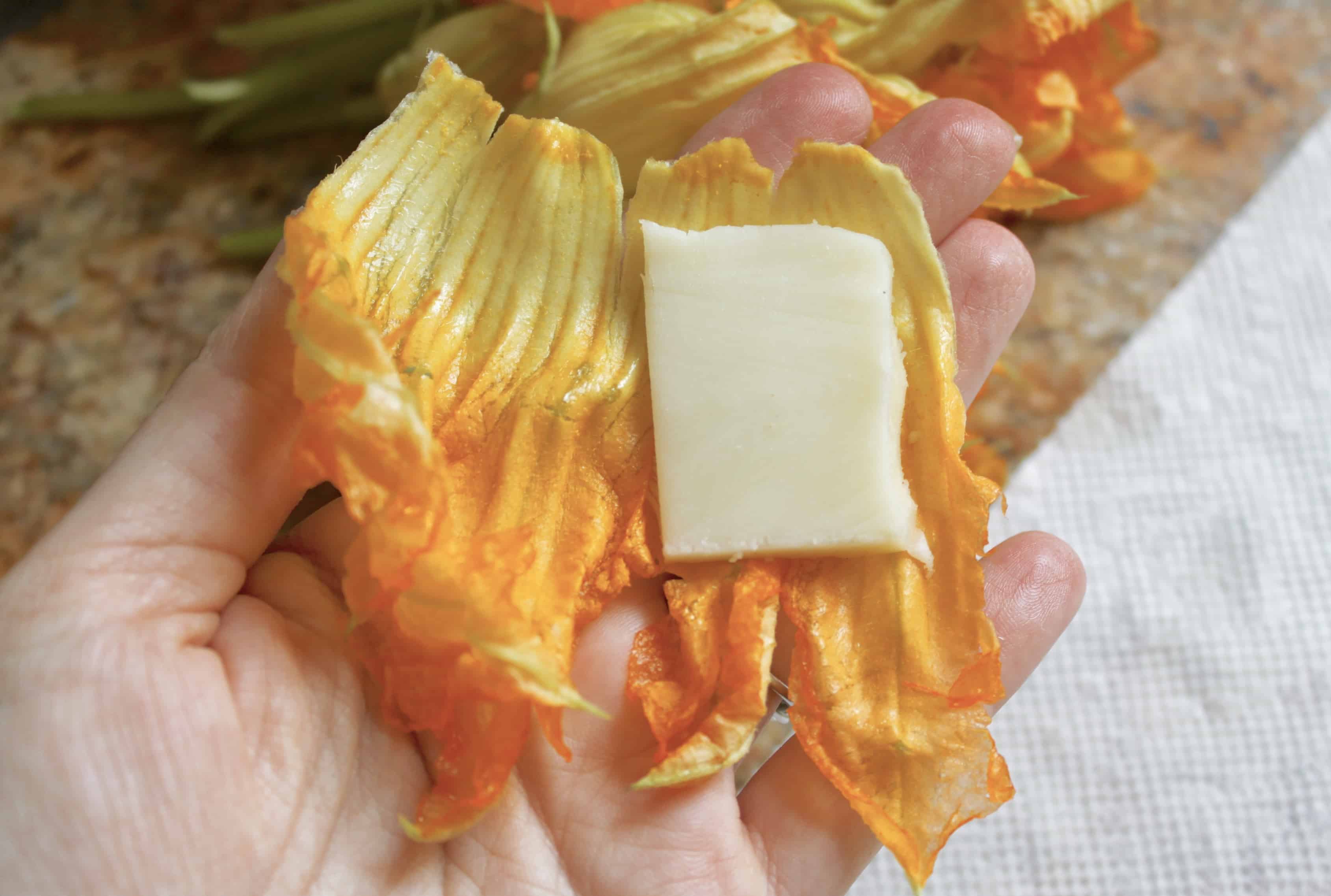 fried zucchini blossoms