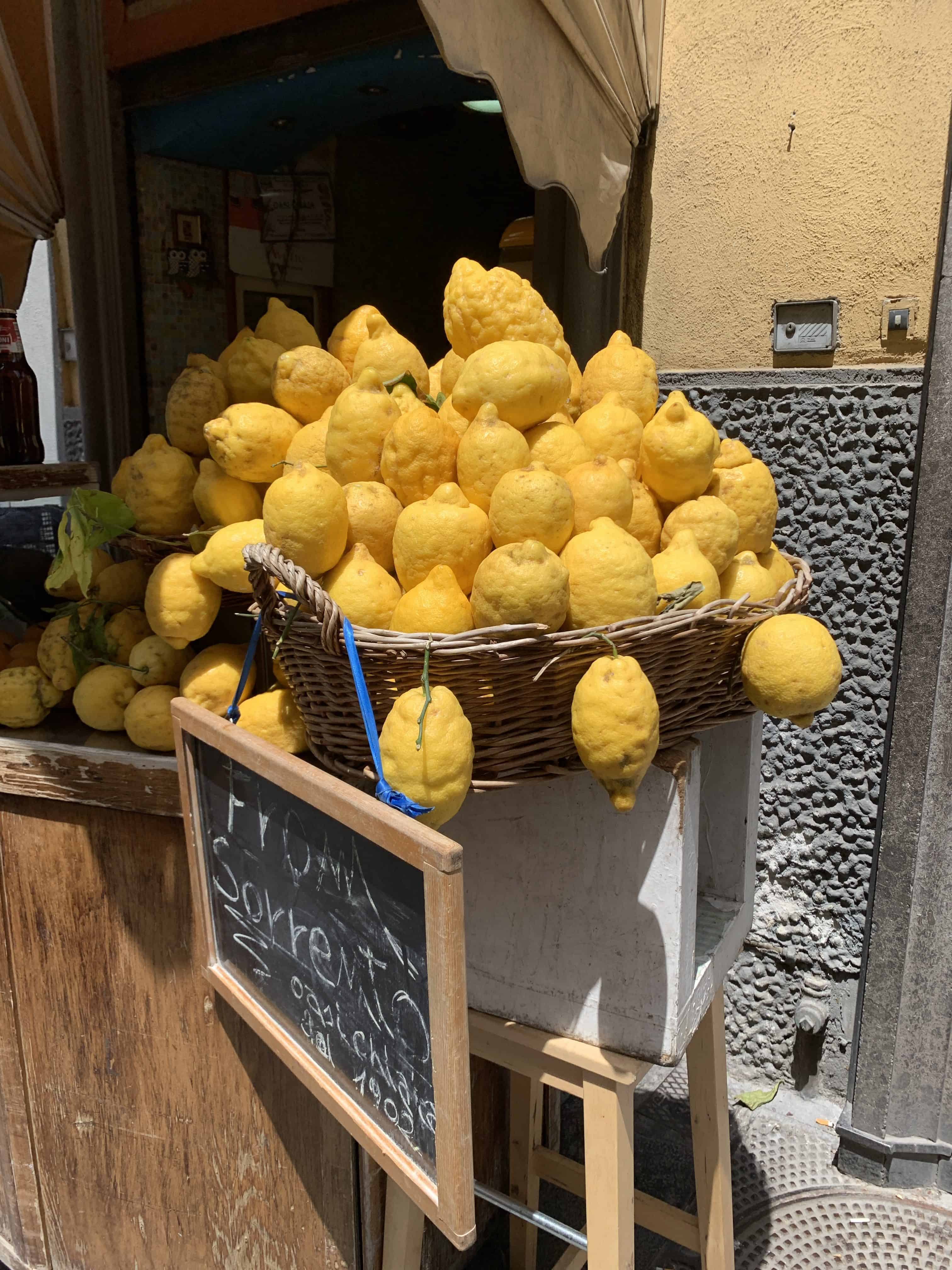lemons from Sorrento sorrento lemons