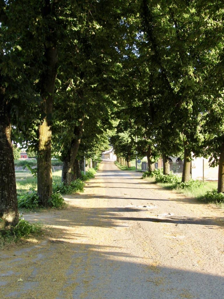 driveway to Antica Corte Pallavicina