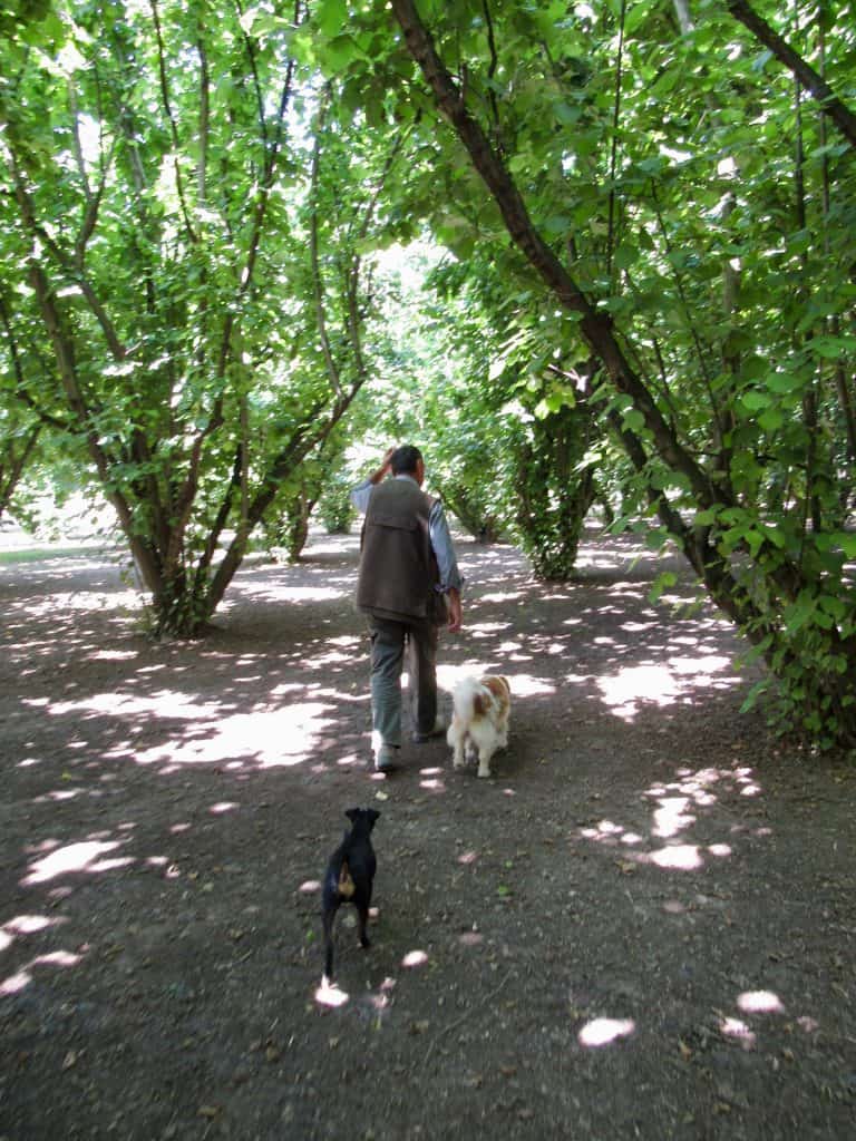 truffle hunting