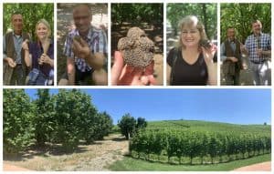 truffle hunting with Cadia winery collage