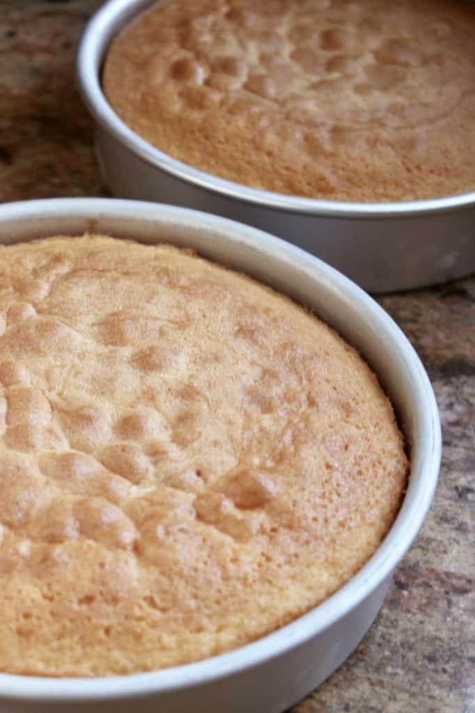 victoria sandwich in pans