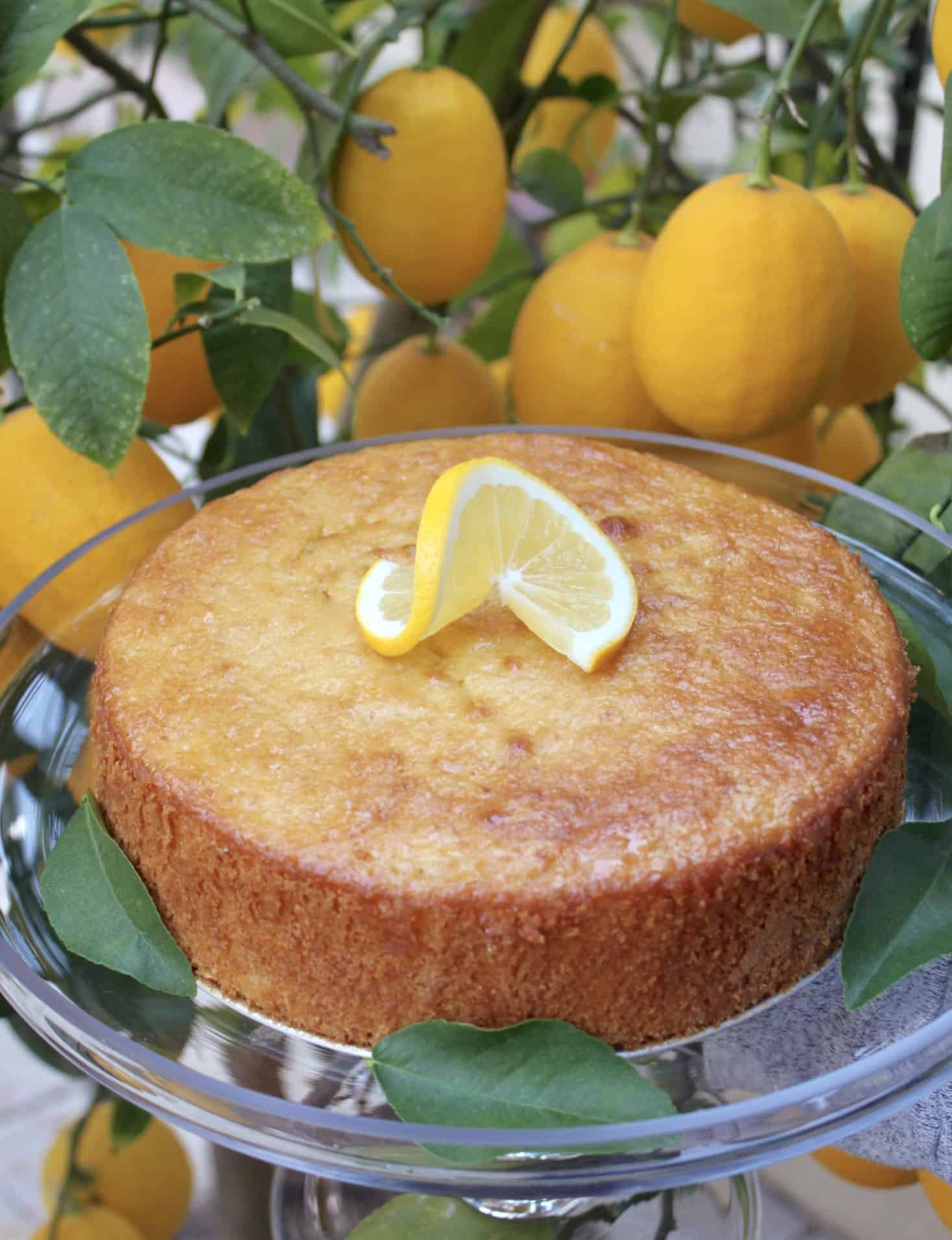 Sicilian whole lemon cake