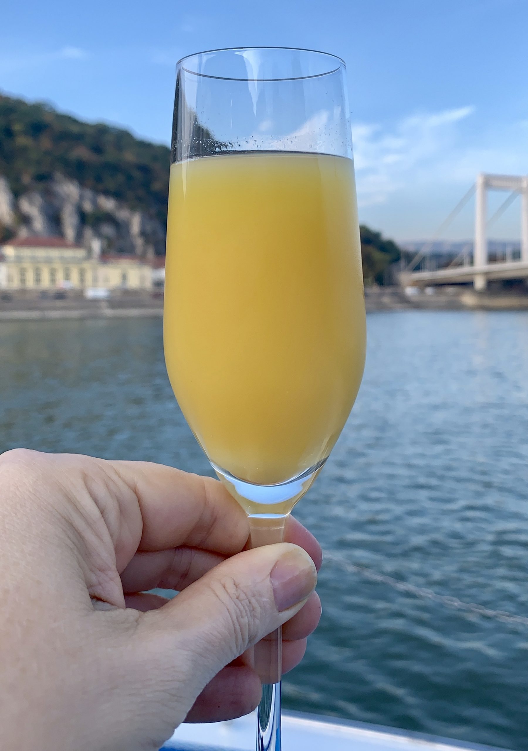 mimosa cruising the Danube