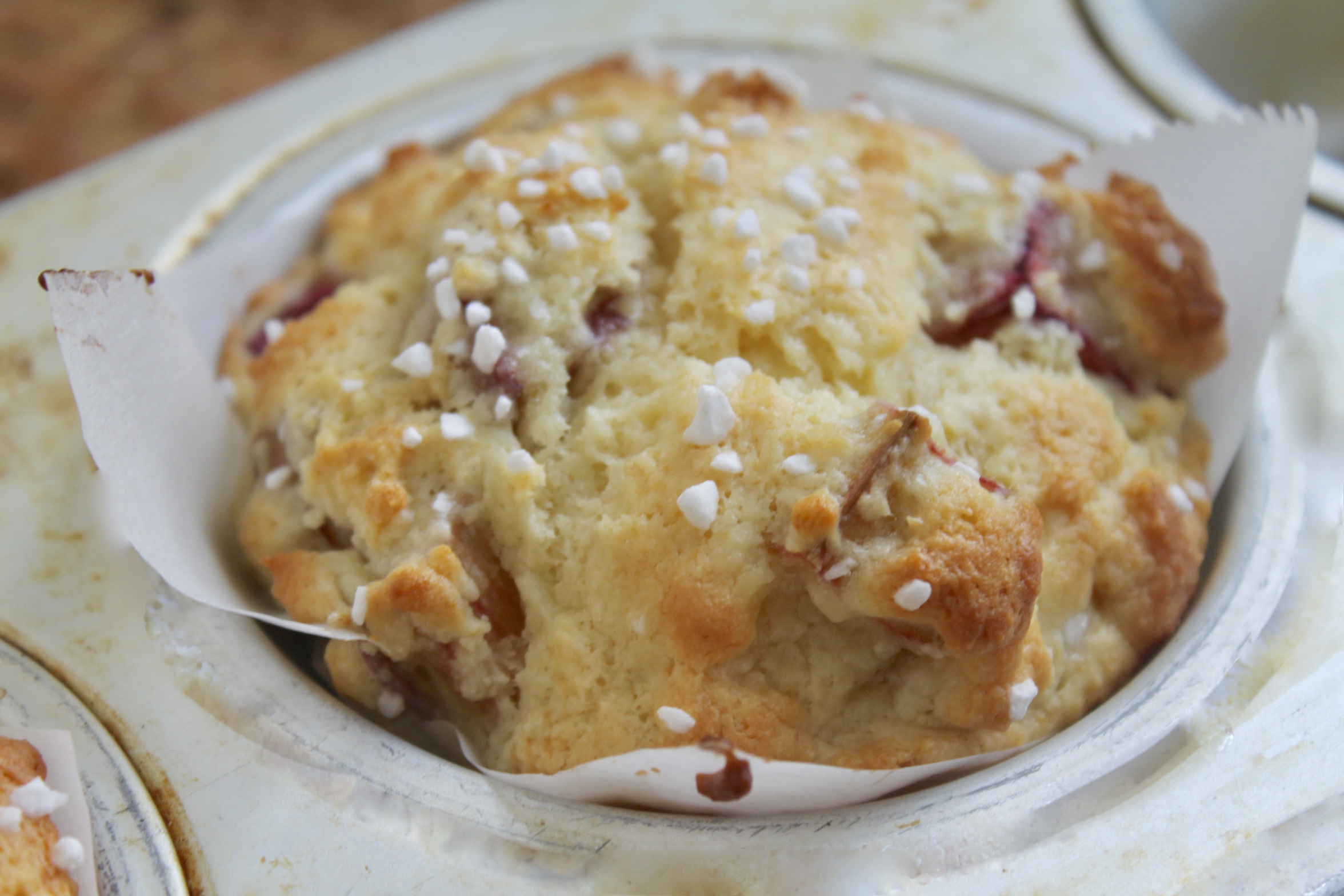 rhubarb muffin in a tin