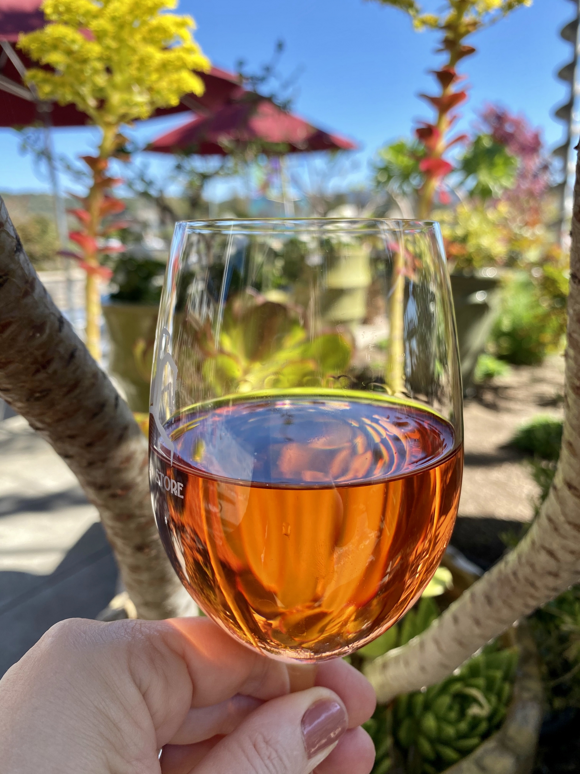 glass of wine in Napa