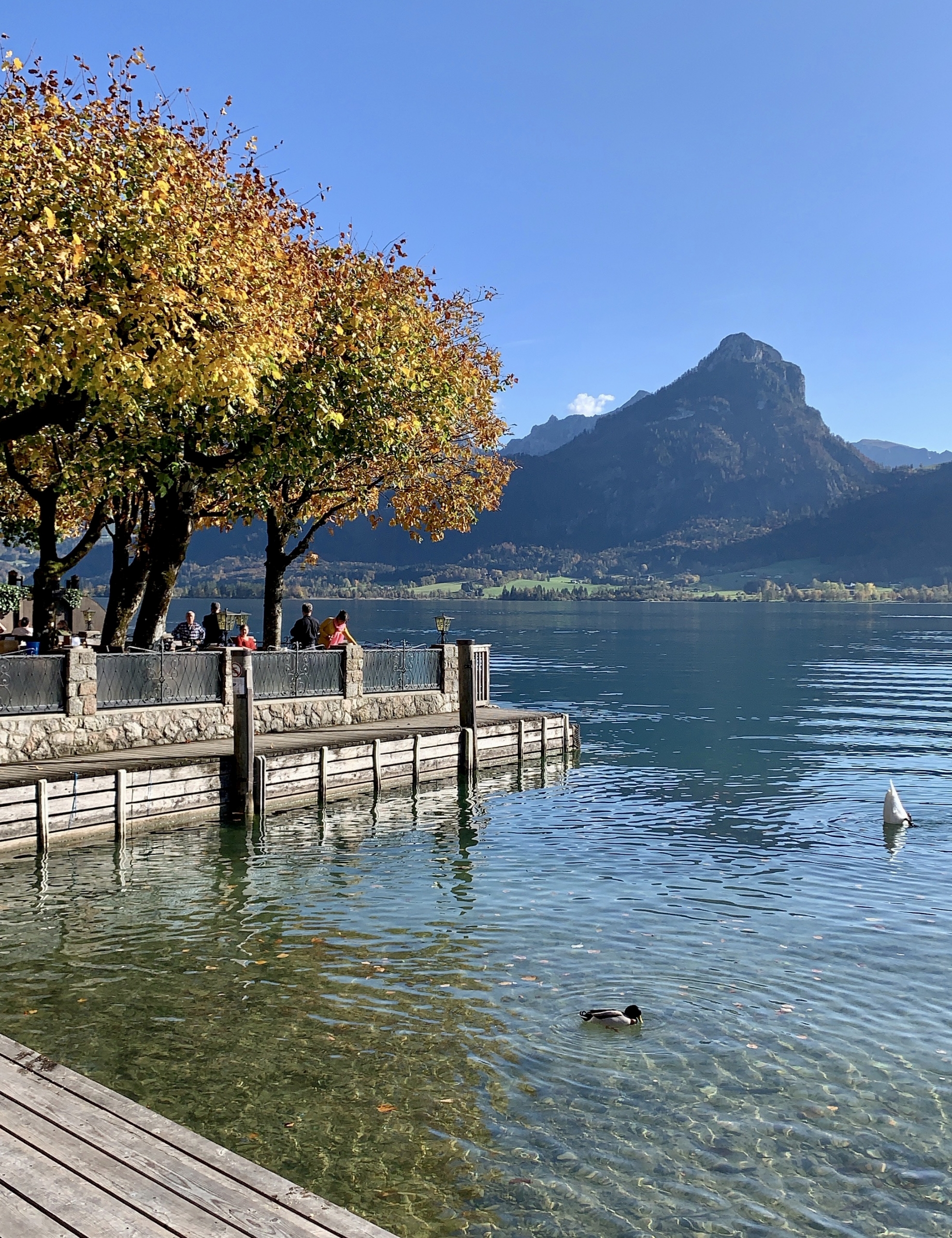 view of St. Wolfgangsee