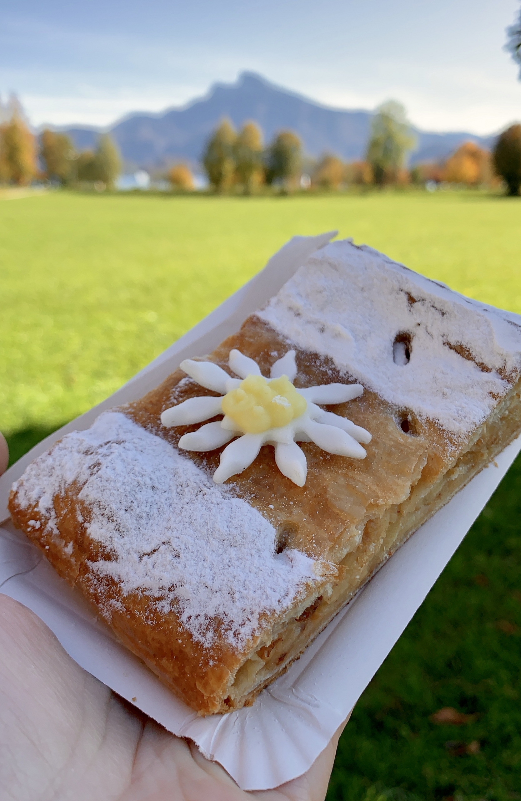 Austrian apple strudel with mountains in the background in the Austrian Lake District