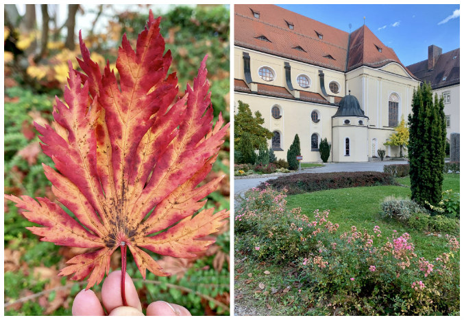 vilshofen collage