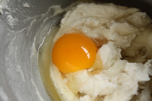 adding an egg to the sugar and butter mixture