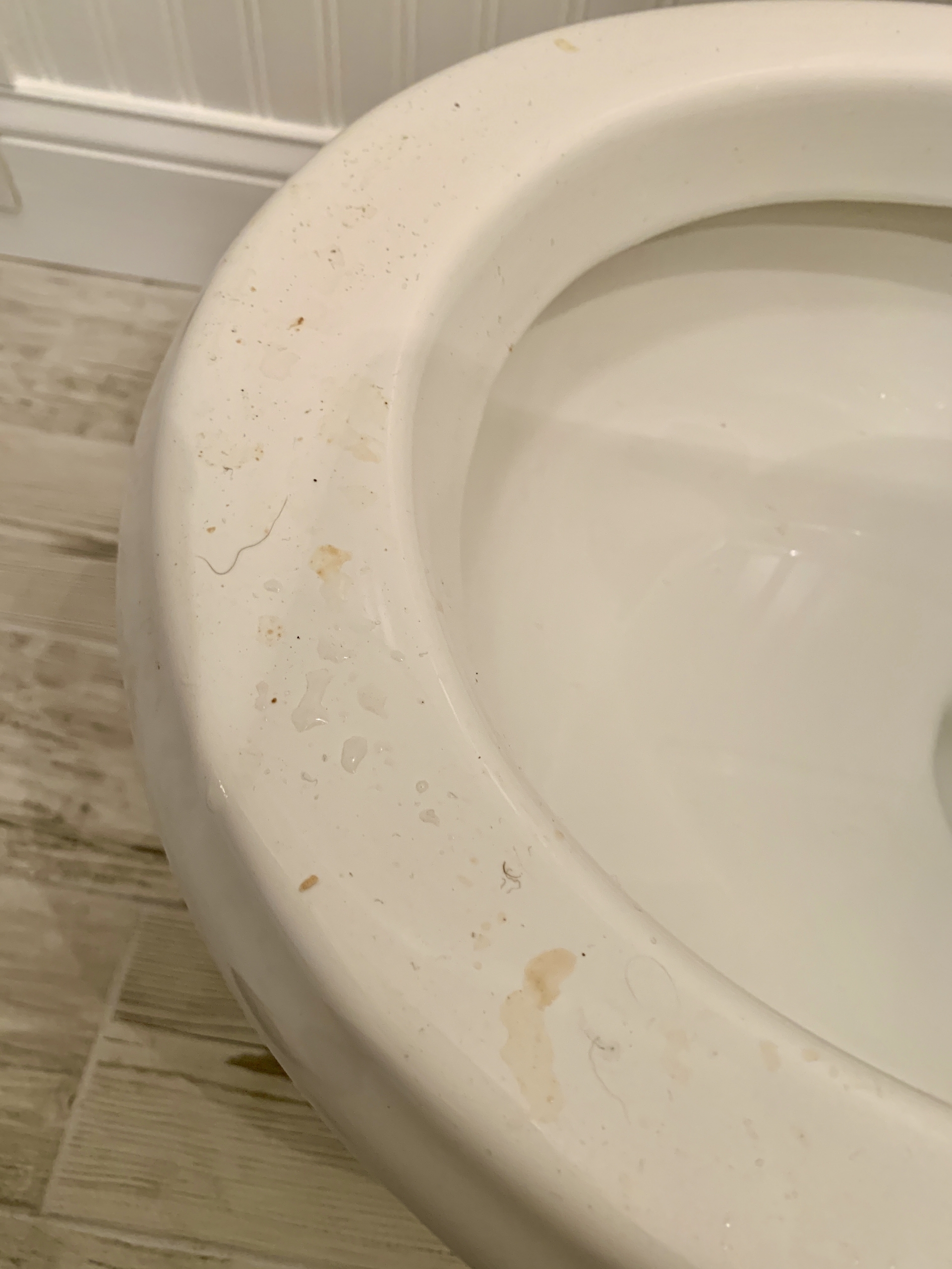 dirty toilet using airbnb