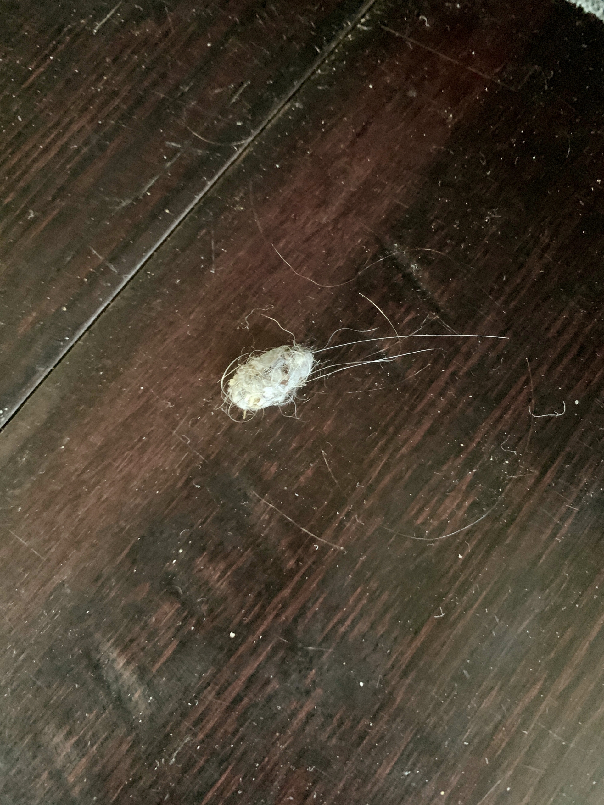 dirty floor dirty floor