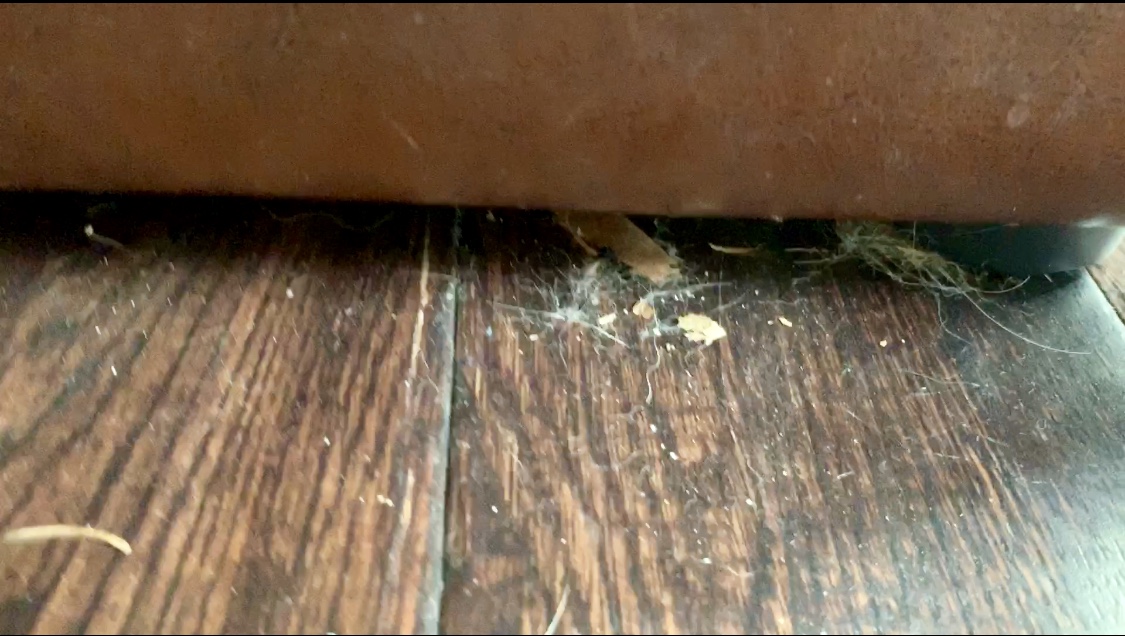 disgusting floor disgusting floor