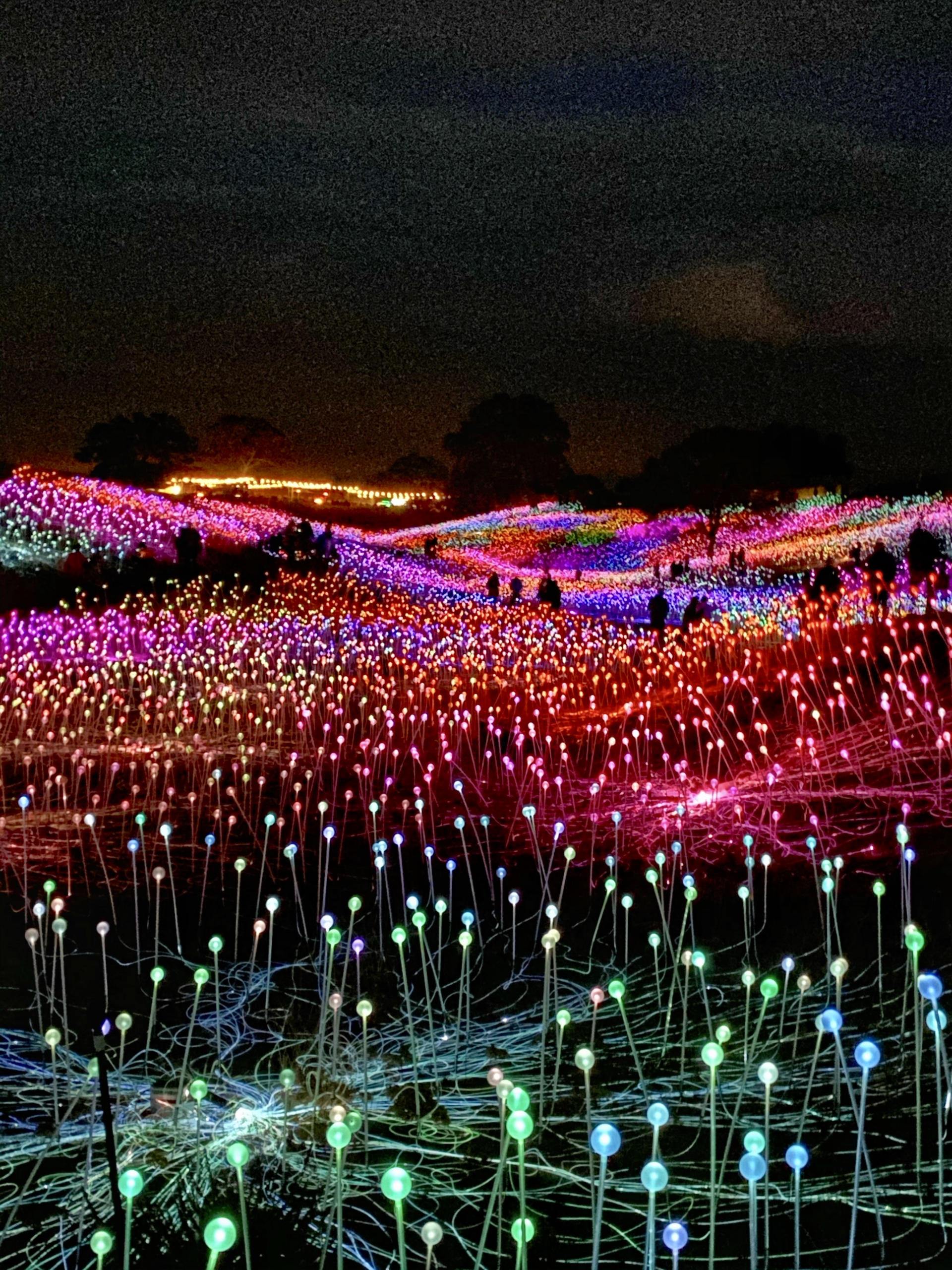 Overview of Sensorio Paso Robles at Night