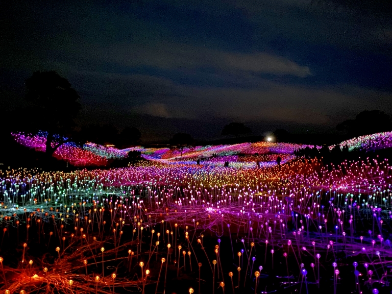 Sensorio Paso Robles Why you Should Visit Christina's Cucina