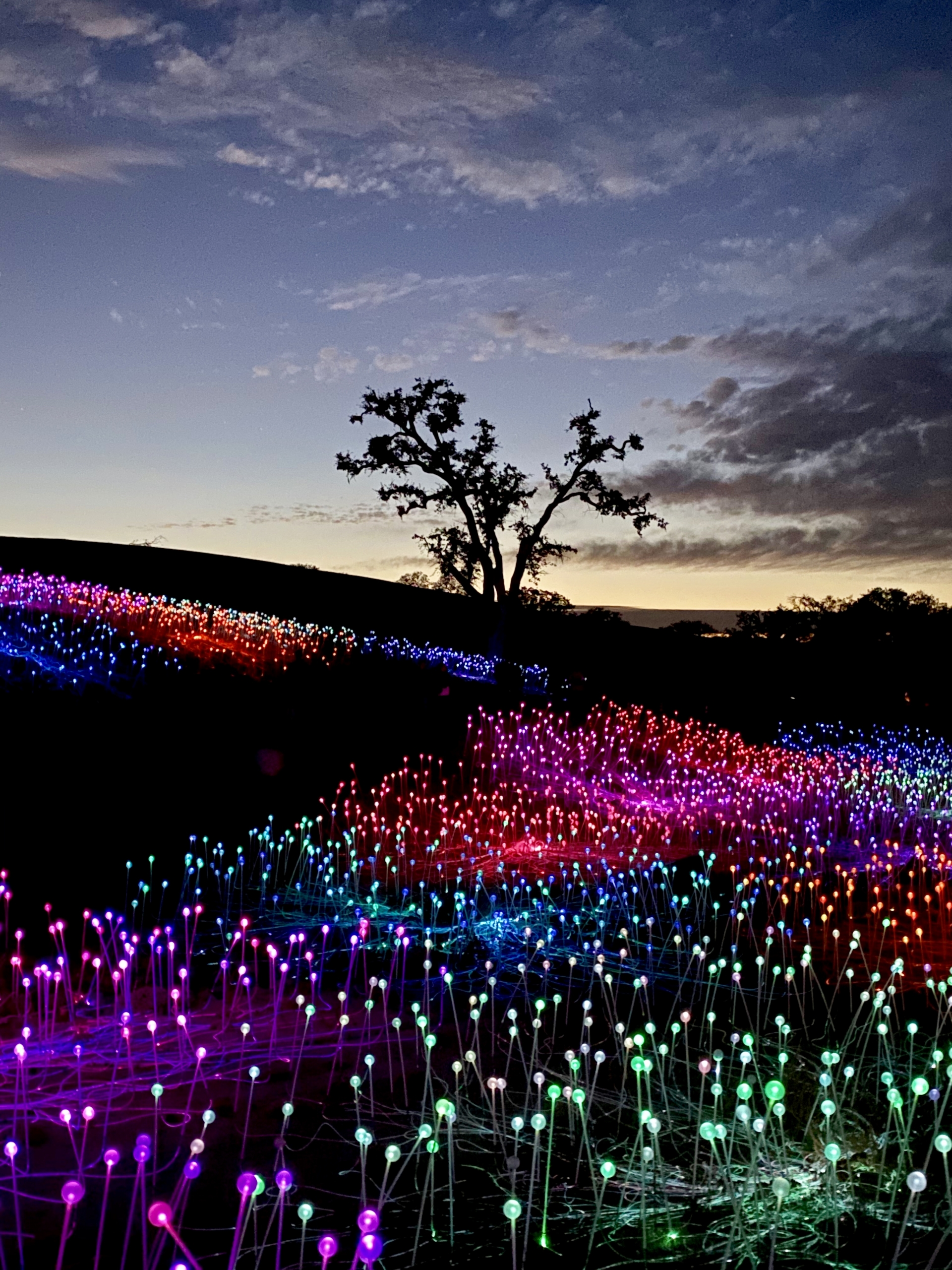 Overview of Sensorio Paso Robles at Night