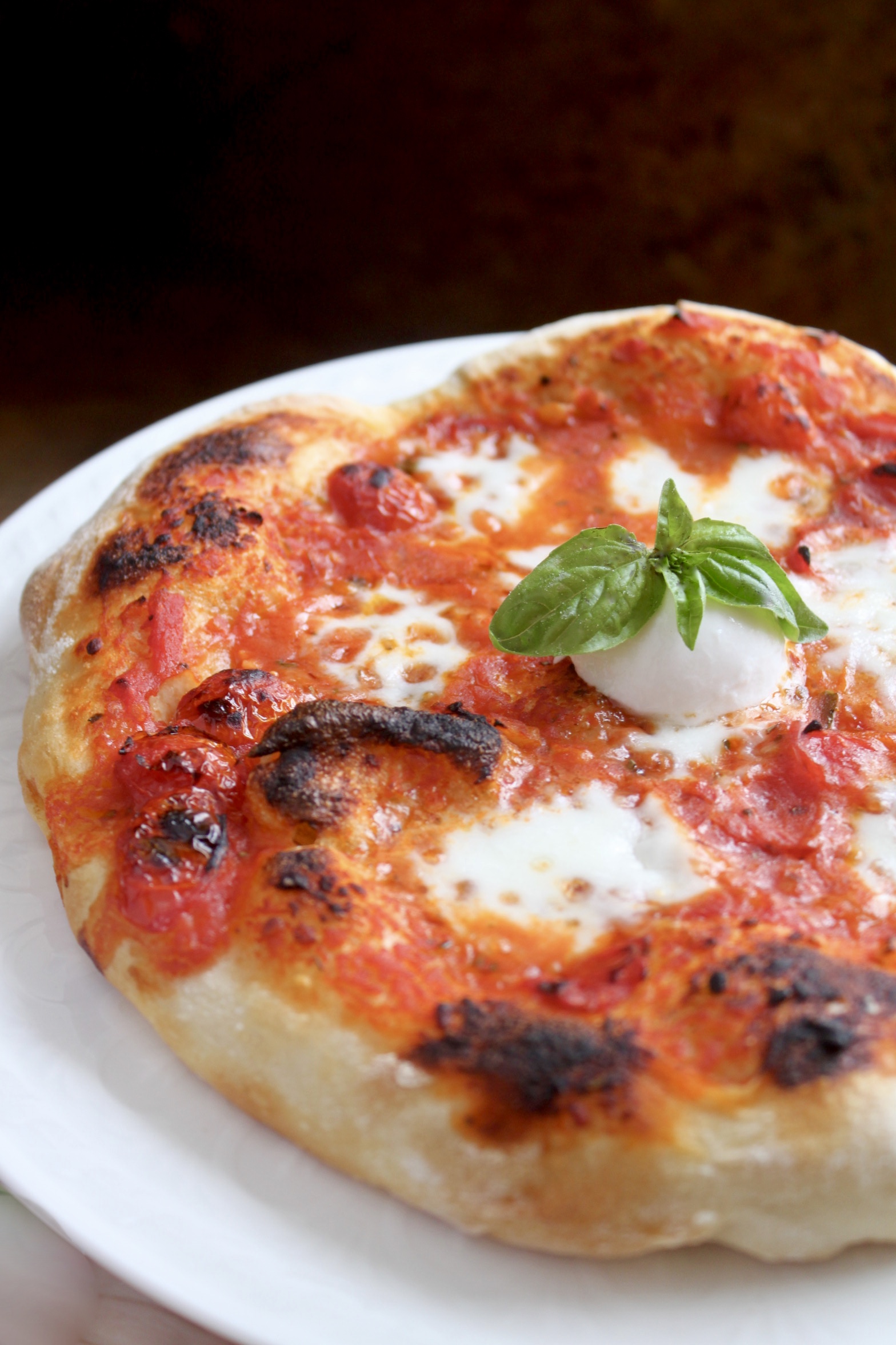 pizza with mozzarella pizza with mozzarella