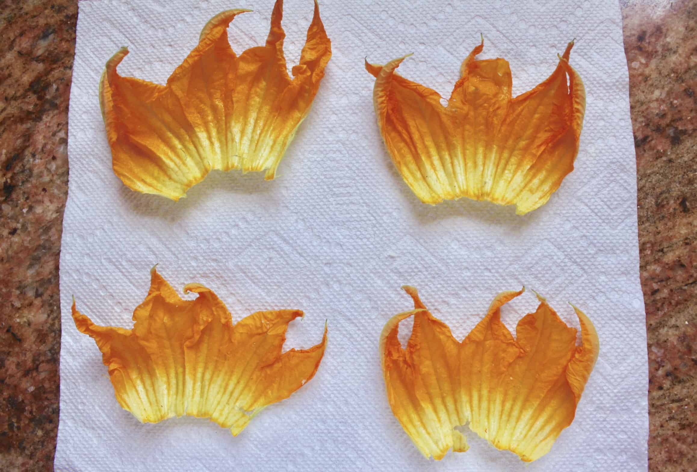 zucchini flowers on a paper towel