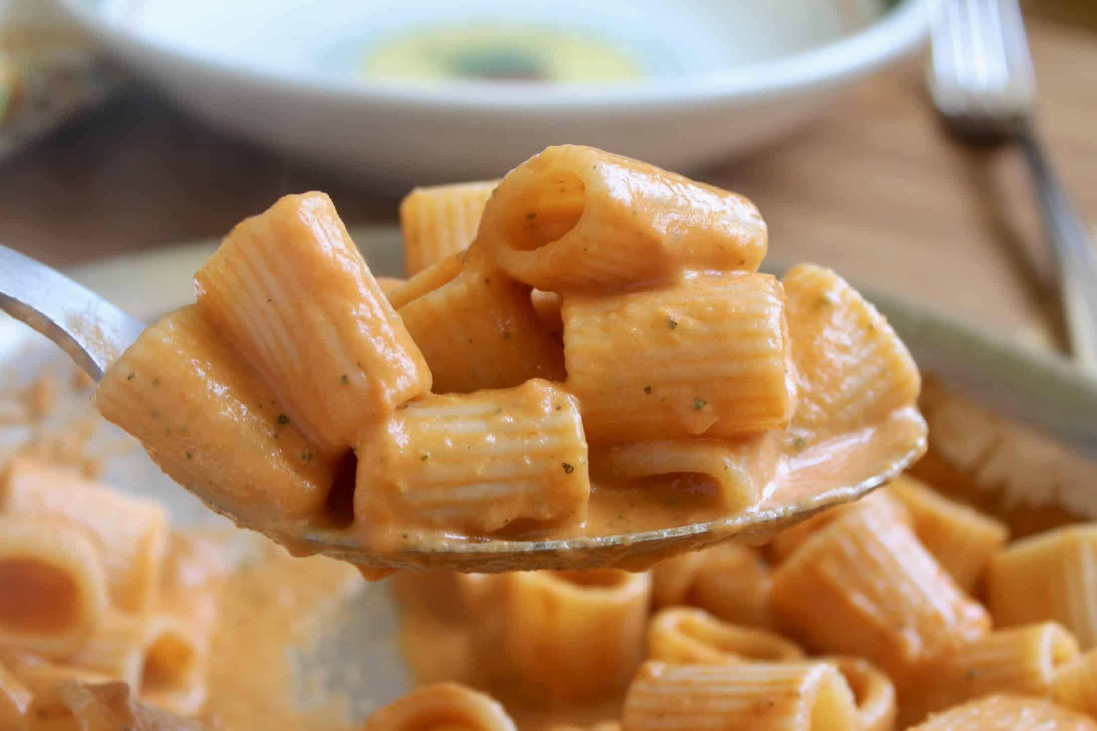 serving zucchini and tomato pasta sauce on mezzi rigatoni