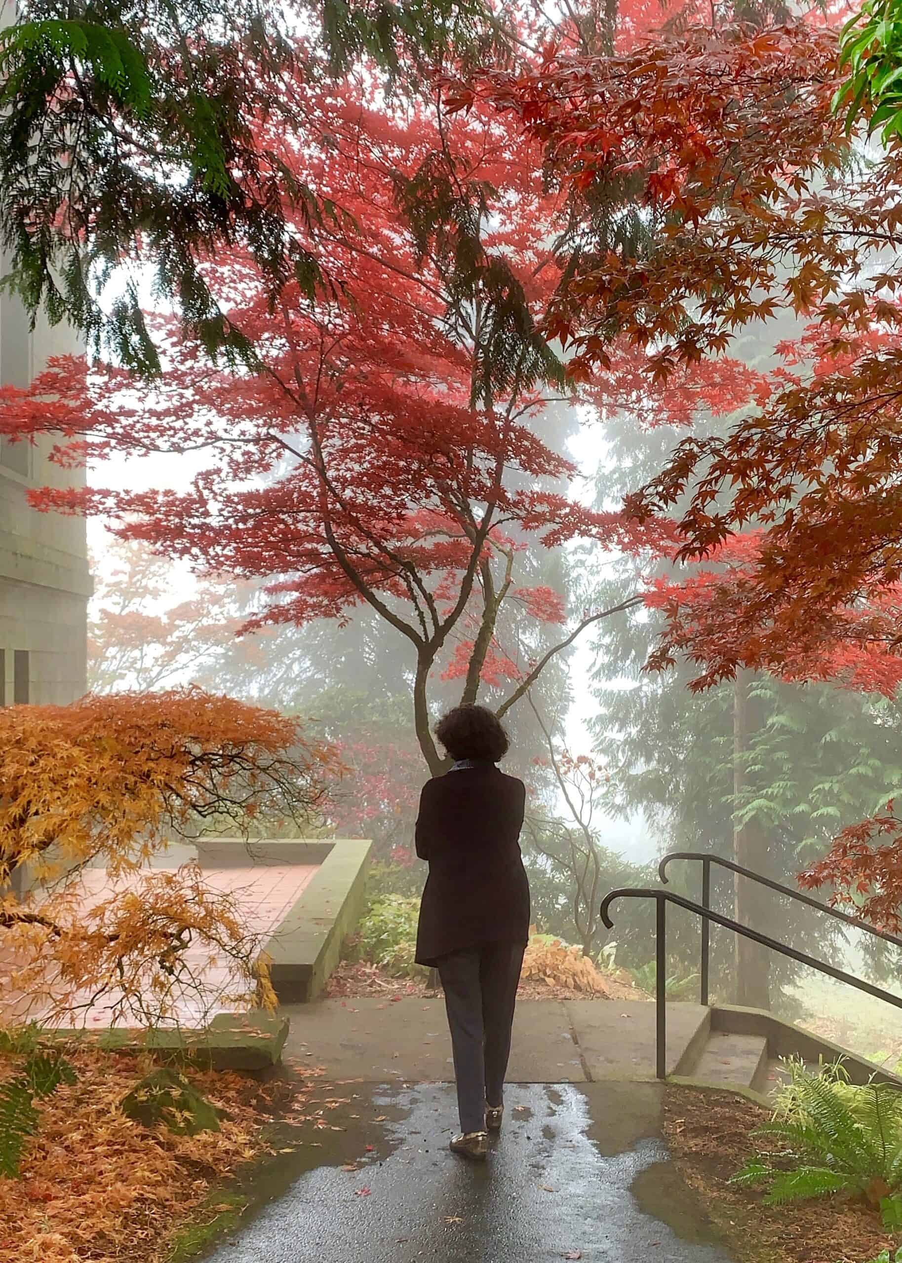 figure in the fog with autumn leaves