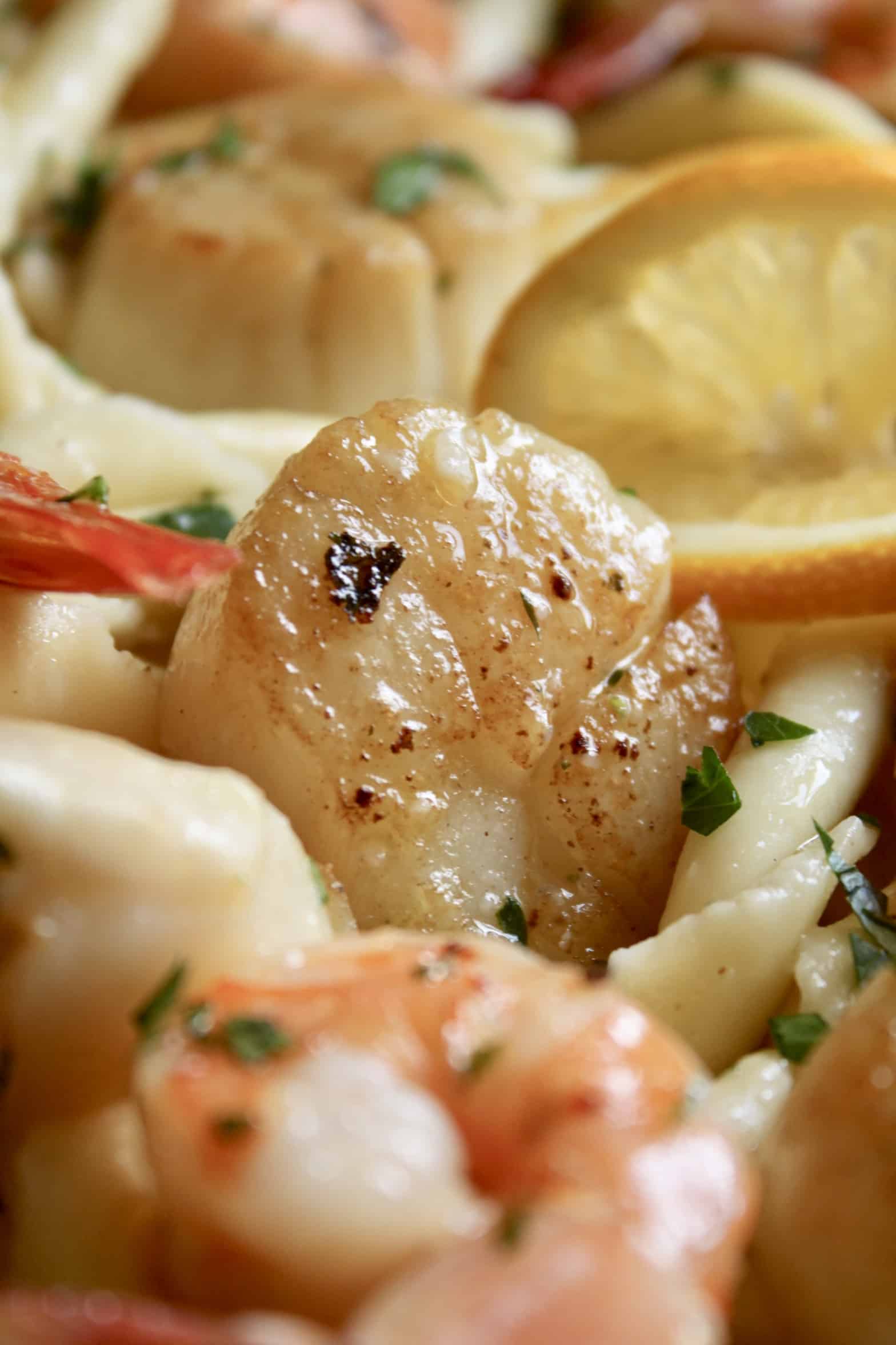 shrimp and scallops in pasta