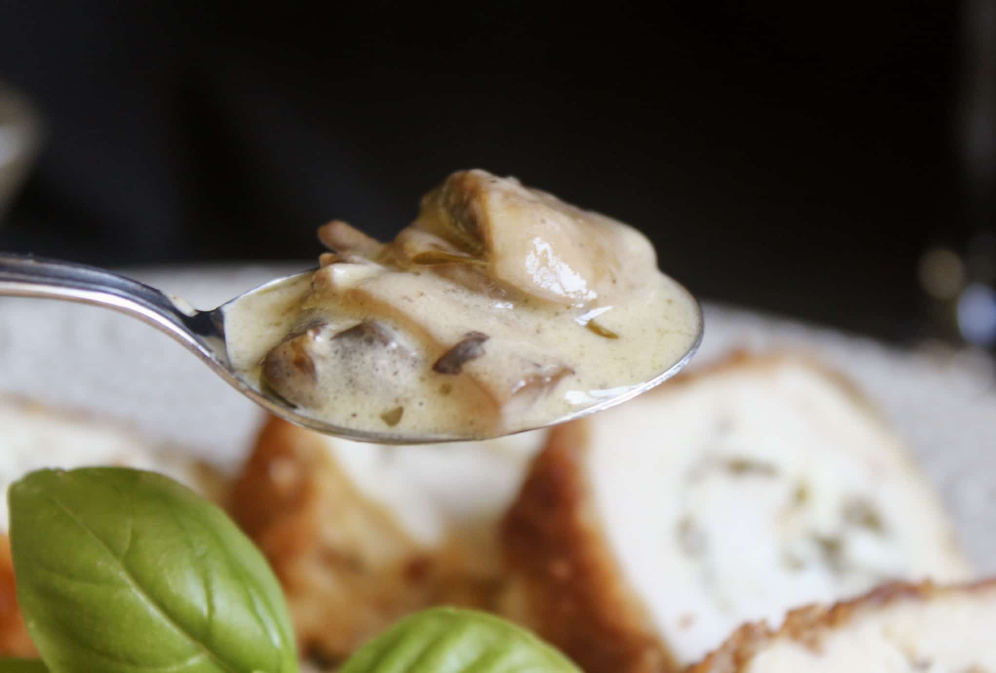 mushroom cream sauce on a spoon