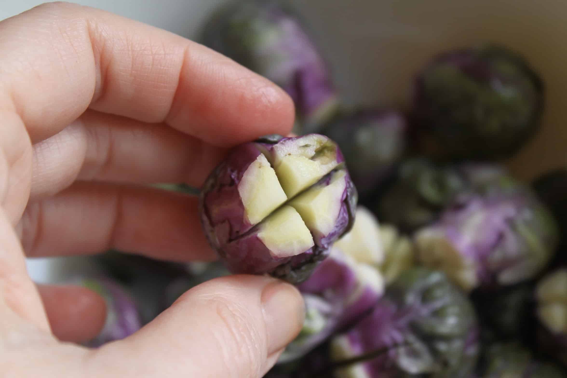holding a sprout with an x in the bottom
