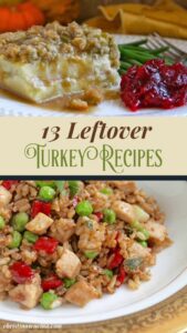 turkey leftovers pin