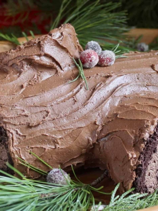 2019 Best Chocolate Fudge Yule Log Excellent Quality es.klass.ly